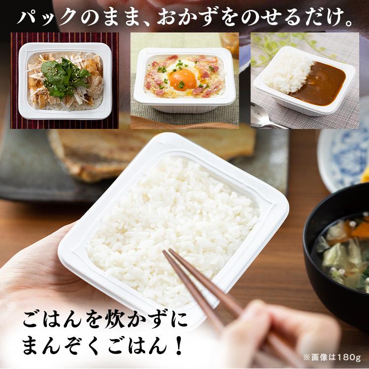 IRIS OHYAMA（アイリスオーヤマ） パックご飯 120g 80食 ご飯パック
