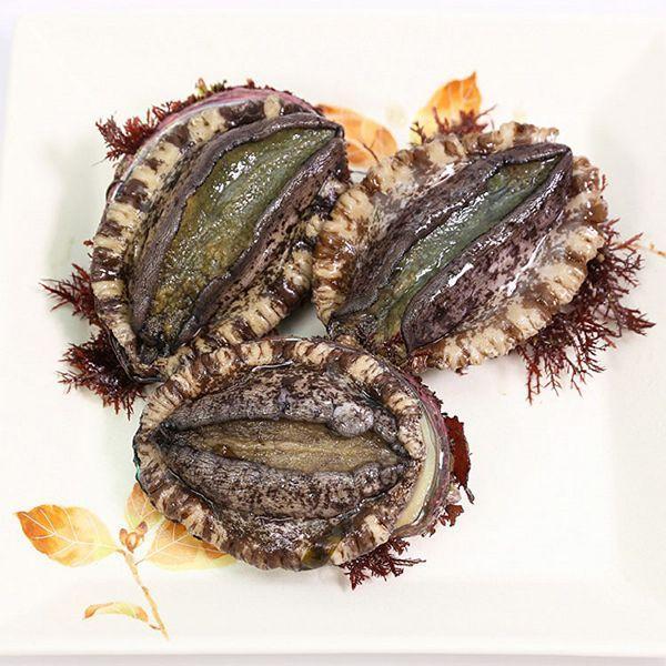 御中元 お中元 2024 アワビ 1kg 活アワビ 陸産 宮城 お取り寄せ 冷蔵 気仙沼 代引不可 TD 直送 三陸未来 さんりくみらい | 