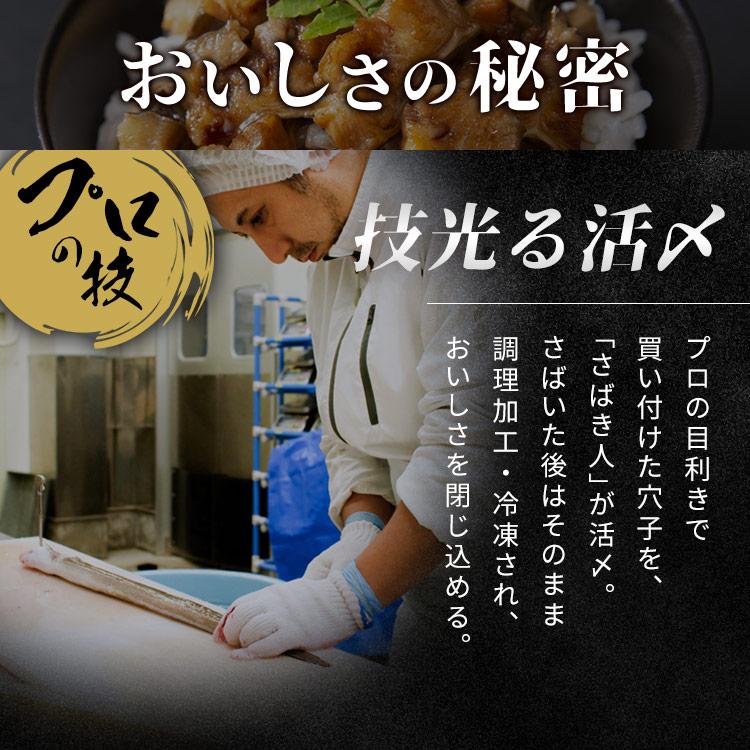 御中元 お中元 2024 アナゴ 三陸産 海鮮 伊達アナゴ煮 穴子セット トロ煮穴子 70g×1 刻穴子 あなご ひつまぶし 代引不可 |  | 10