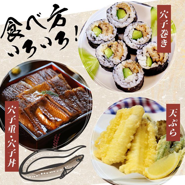 御中元 お中元 2024 アナゴ 三陸産 海鮮 伊達アナゴ煮 穴子セット トロ煮穴子 70g×1 刻穴子 あなご ひつまぶし 代引不可 |  | 09