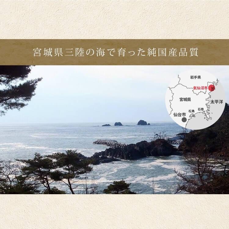 御中元 お中元 2024 アワビ 三陸産 冷凍 アワビツブ ボイルアワビツブ 1キロ 代引不可 貝 ツブ貝 つぶ貝 三陸未来 さんりくみらい |  | 08