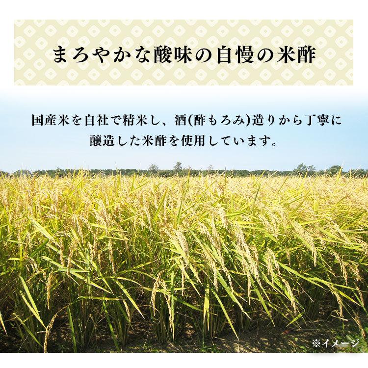 お酢 酢 内堀醸造 かけるだけで酢 360ml   (D) |  | 04