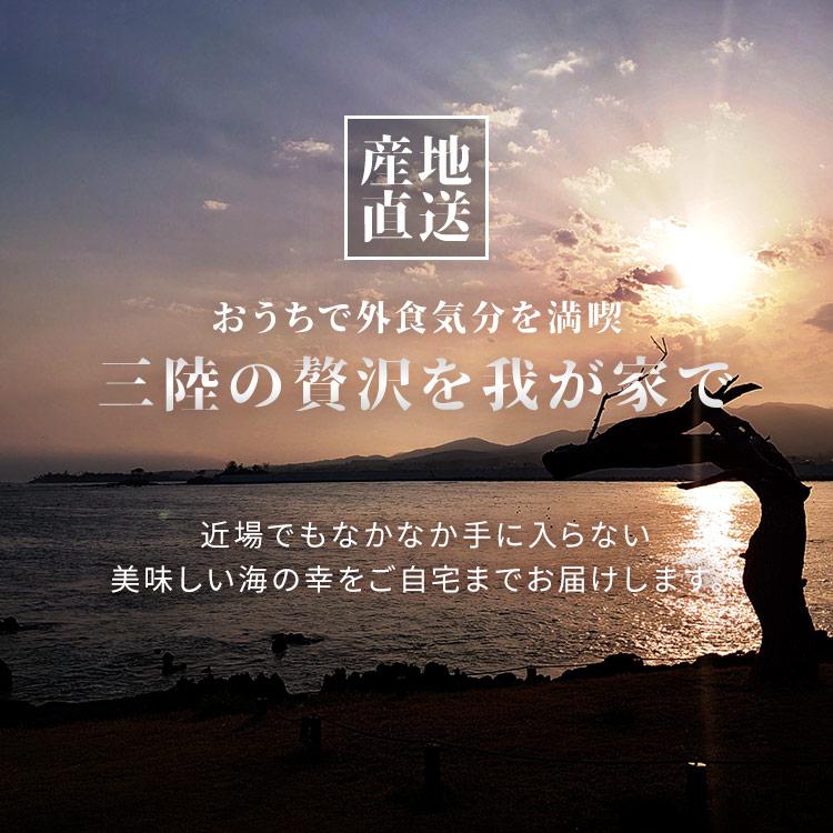 御中元 お中元 2024 穴子 三陸産 冷凍 伊達アナゴ三昧セット あなご 伊達あなご 一夜干し 気仙沼 限定100セット 三陸未来 さんりくみらい 代引不可 |  | 02