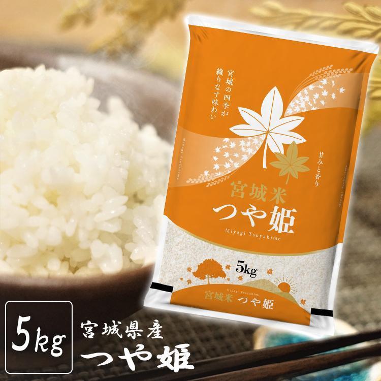 四季の彩り 米 5kg×2袋 令和6年度