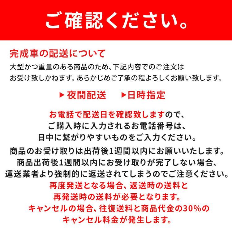 三輪自転車 ACTIVE PLUS ノーパンク 自転車 ACTIVEPLUS ノーパンク三輪自転車L MG-TRE20APNL ACTIVE PLUS (代引不可) (TD)_11