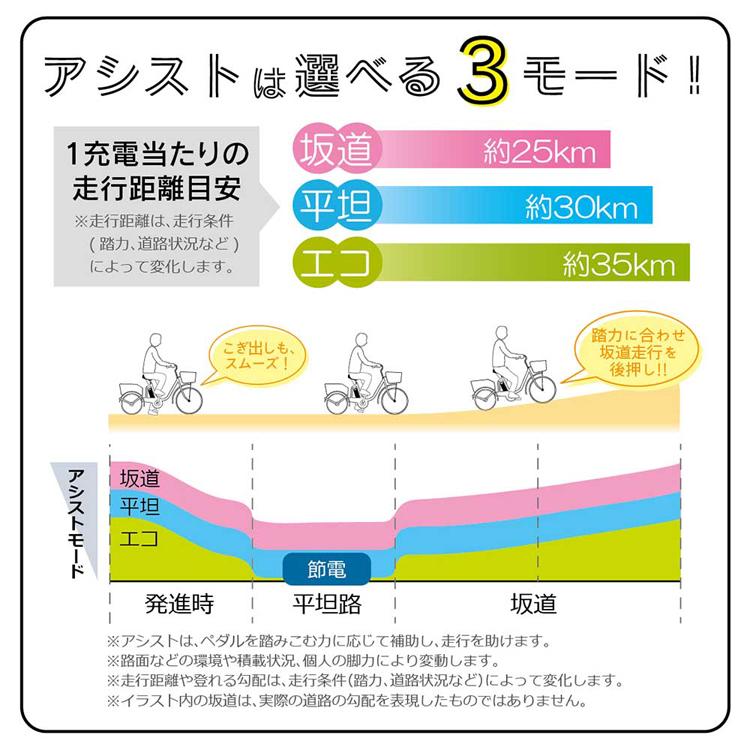 折畳み 電動 ACTIVEPLUS ノーパンク 軽快車 ACTIVEPLUS ノーパンク電動アシスト折り畳み自転車 ブラック 容量5.8Ah MG-AP26EBN ACTIVE PLUS (代引不可) (TD)_11