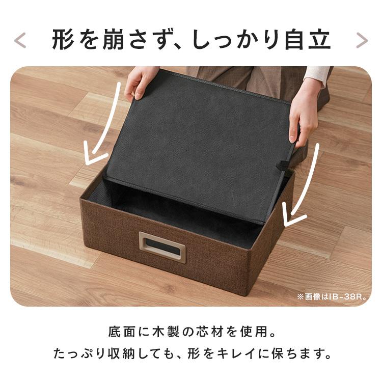 IRIS OHYAMA（アイリスオーヤマ） 収納ボックス 幅38cm 奥行き27cm