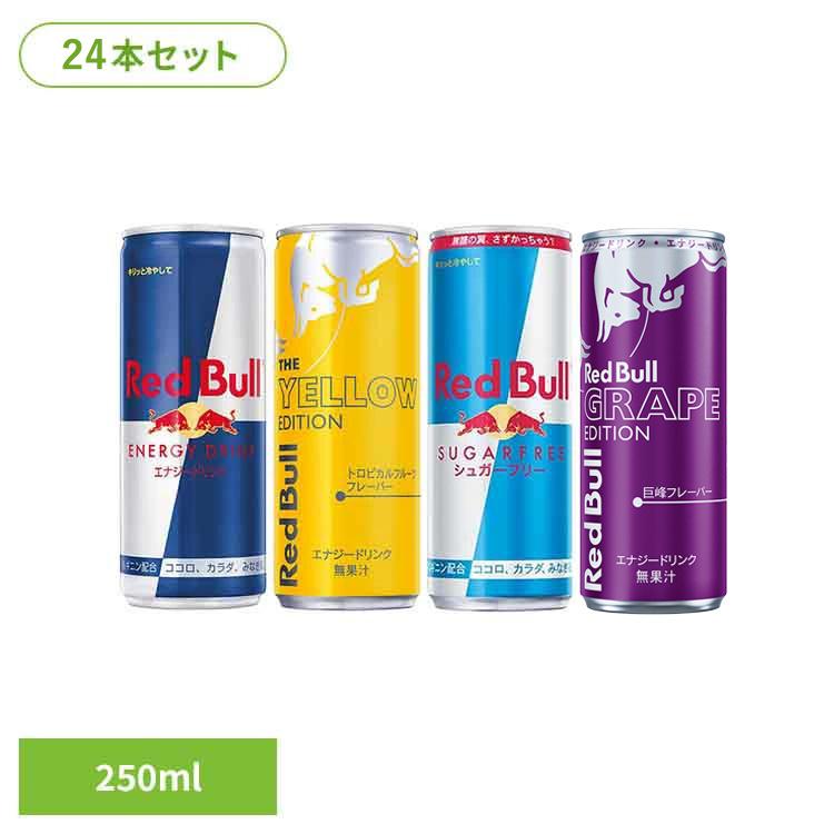 Red Bull エナジードリンク 250ml 24本入　3箱 レッドブル（RedBull） (24本)レッドブル 250ml : 暮らし健康ネット館