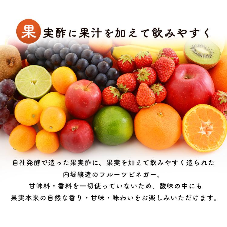 ビネガー ドリンク フルーツビネガー 1L 飲むお酢 りんご酢 黒酢 ぶどう ブルーベリー 果物酢|kodawari-y|02