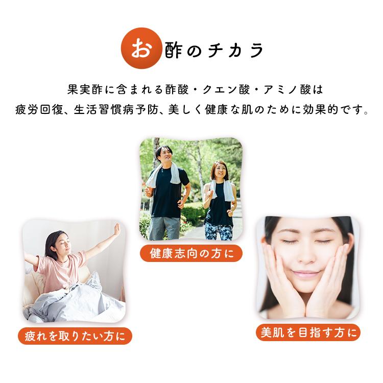 ビネガー ドリンク フルーツビネガー 1L 飲むお酢 りんご酢 黒酢 ぶどう ブルーベリー 果物酢|kodawari-y|04