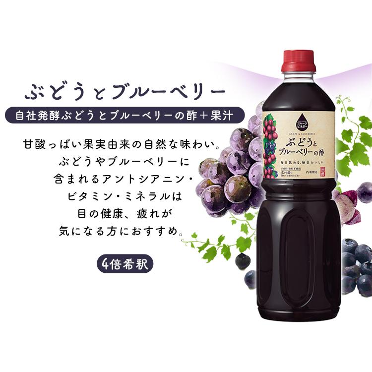 ビネガー ドリンク フルーツビネガー 1L 飲むお酢 りんご酢 黒酢 ぶどう ブルーベリー 果物酢|kodawari-y|07