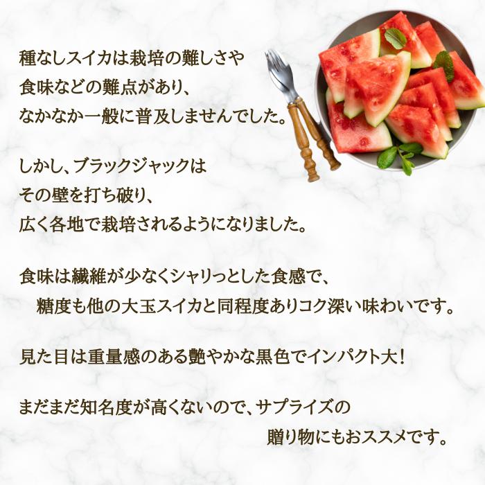 予約開始 7月下旬頃順次発送予定】スイカ 中玉 ブラックジャック 山形