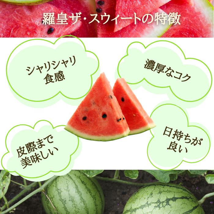 予約開始 7月下旬頃順次発送予定】スイカ 大玉 羅皇ザ・スウィート