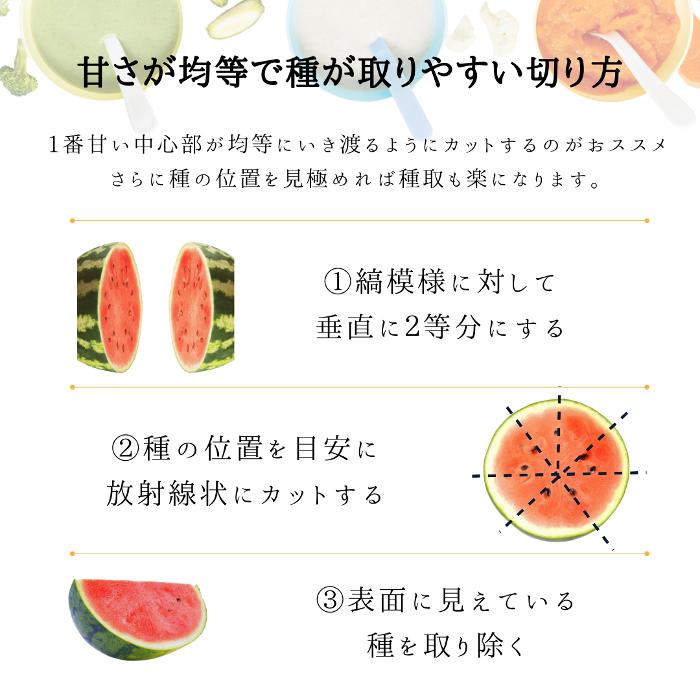予約開始 7月下旬頃順次発送予定】スイカ 中玉 ゴールデンジャック