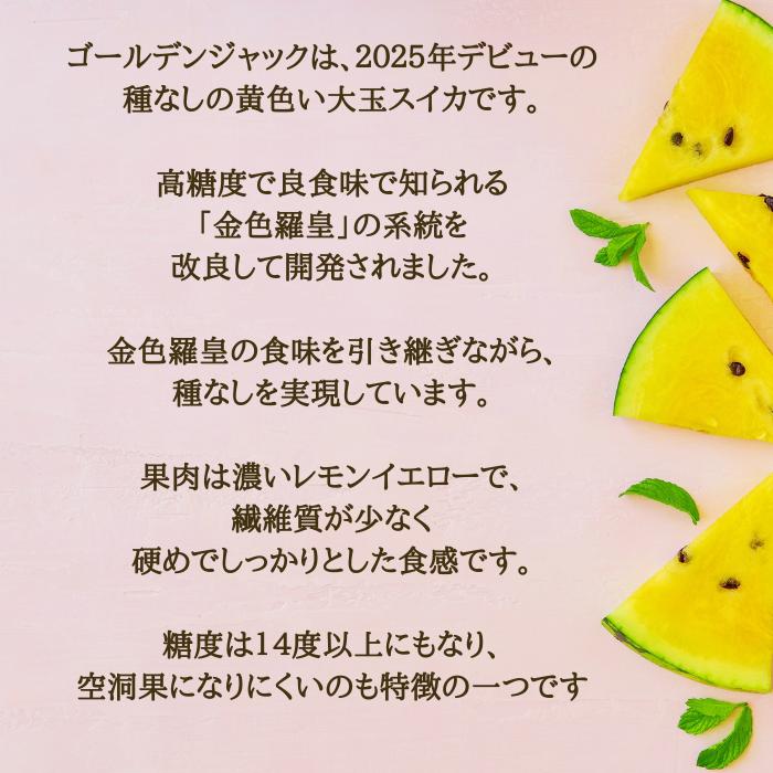 予約開始 7月下旬頃順次発送予定】スイカ 大玉 ゴールデンジャック
