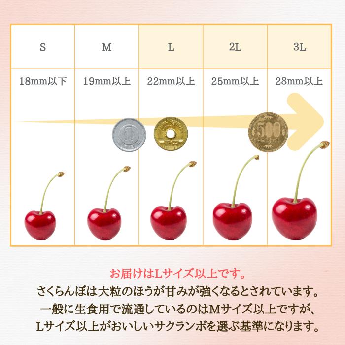 さくらんぼ 佐藤錦 山形県産 天童 Lサイズ以上 秀品 700g ギフト 贈答