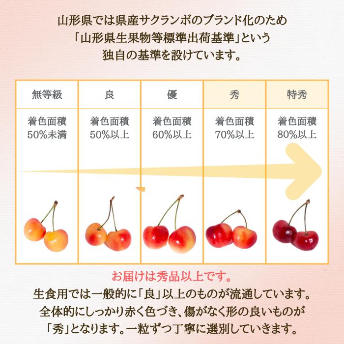 さくらんぼ 紅秀峰 山形県産 天童 Lサイズ以上 秀品 700g ギフト 贈答