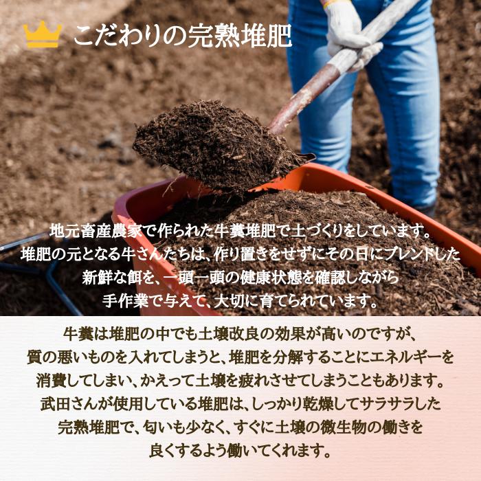 桃 陽夏妃 山形県産 東根 3L 3kg 秀品 白桃 もも ギフト 家庭用 8月