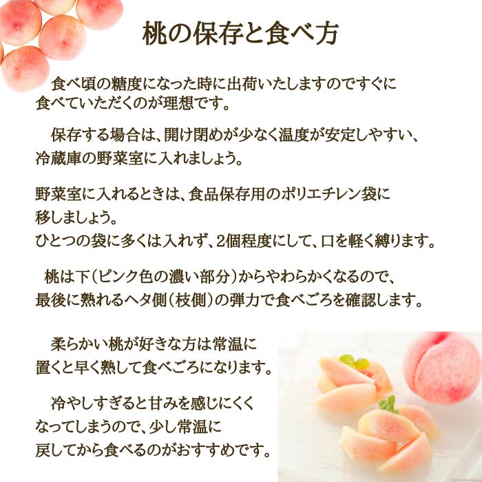 桃 陽夏妃 山形県産 東根 3L 3kg 秀品 白桃 もも ギフト 家庭用 8月