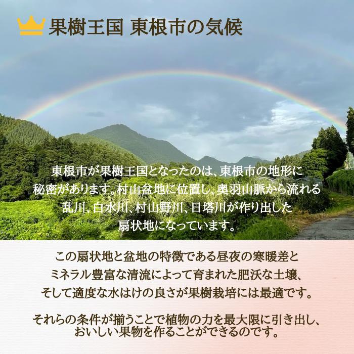 桃 黄金桃 山形県産 東根 3L 3kg 秀品 黄桃 もも ギフト 家庭用 8月下旬頃順次発送予定｜kodawari-yamagata｜08