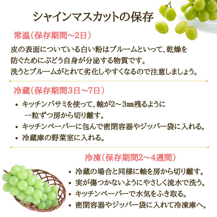 ぶどう シャインマスカット 山形県産 天童 粒売り 300ｇ×2パック 種なし 家庭用 9月下旬〜10月上旬頃順次発送予定｜kodawari-yamagata｜09