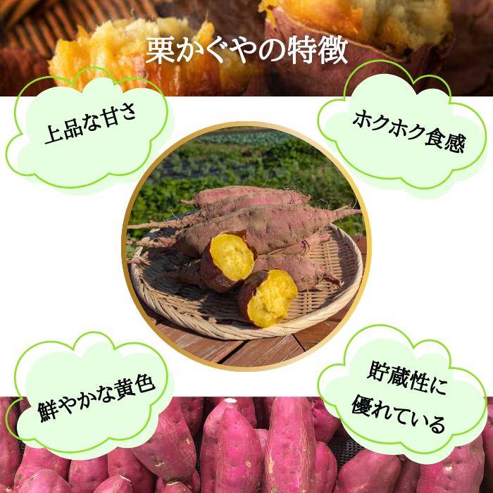 2026年10月上旬以降順次発送】さつまいも 栗かぐや 山形県産 村山 2kg