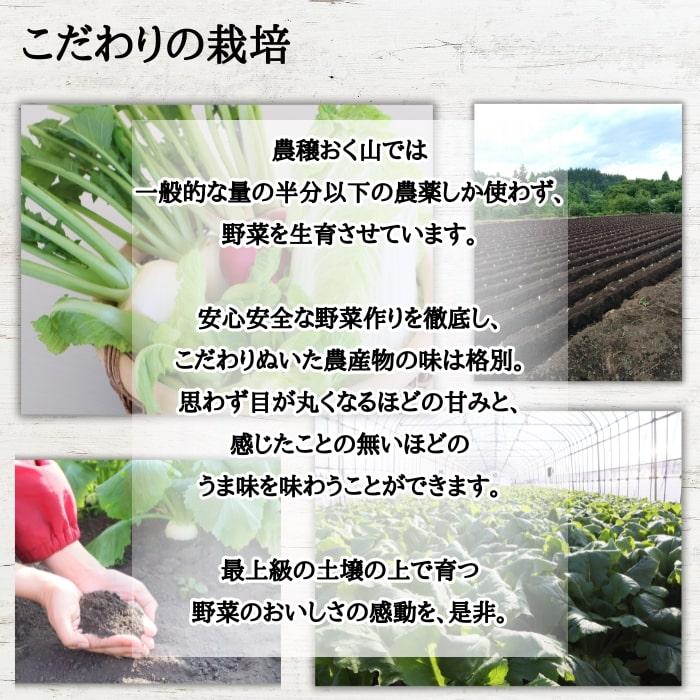 6月予約販売】 栗かぐや 400本 さつまいも苗 無農薬 さつまいも/栗