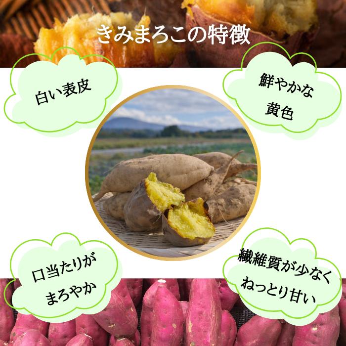 2026年10月上旬以降順次発送】さつまいも きみまろこ 山形県産 村山