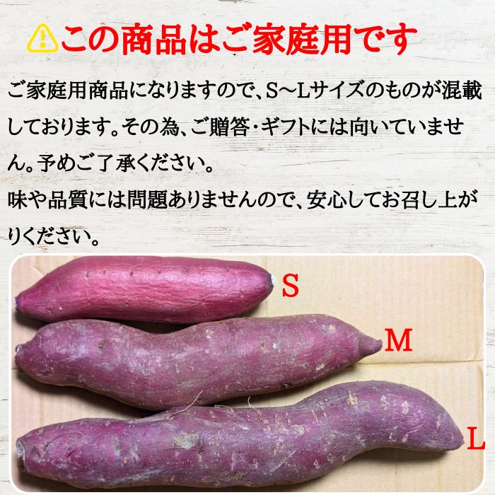 あみんこ サツマイモ 2026年10月上旬以降順次発送】さつまいも きみまろこ 山形県産 村山
