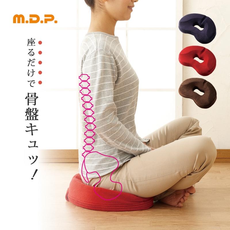NASASEASONS（ナサシーズンズ） クッション 座布団 腰痛 産後 出産