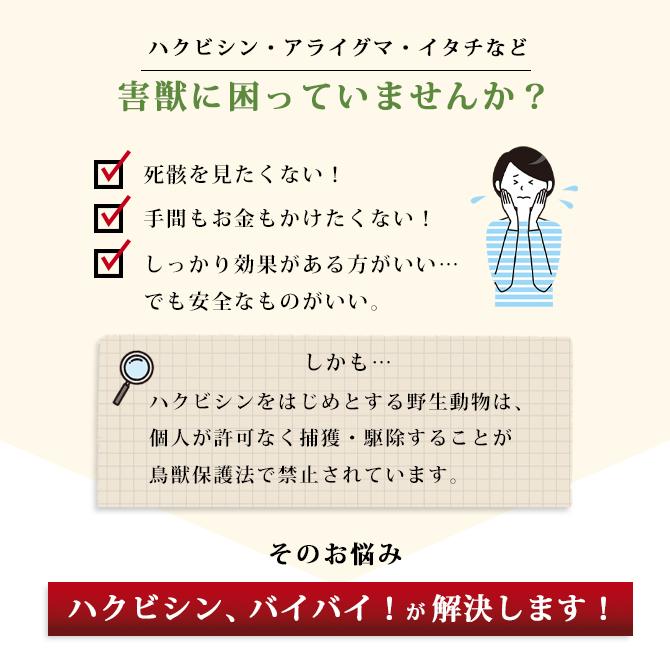 ツナマヨまみれのハクビシン 楽天市場】害獣駆除 忌避剤 [ 天然成分忌避剤 ハクビシン