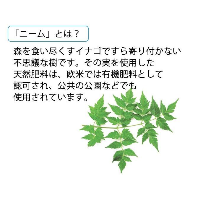 ガーデニング 虫除け 土壌改良 肥料 粒 ニーム 天然 うどんこ病 さび病 予防対策 肥料 虫よけ肥料   ニーム天然虫除け肥料 粒タイプ 粒タイプ 顆粒...｜kodawari-zakka｜04