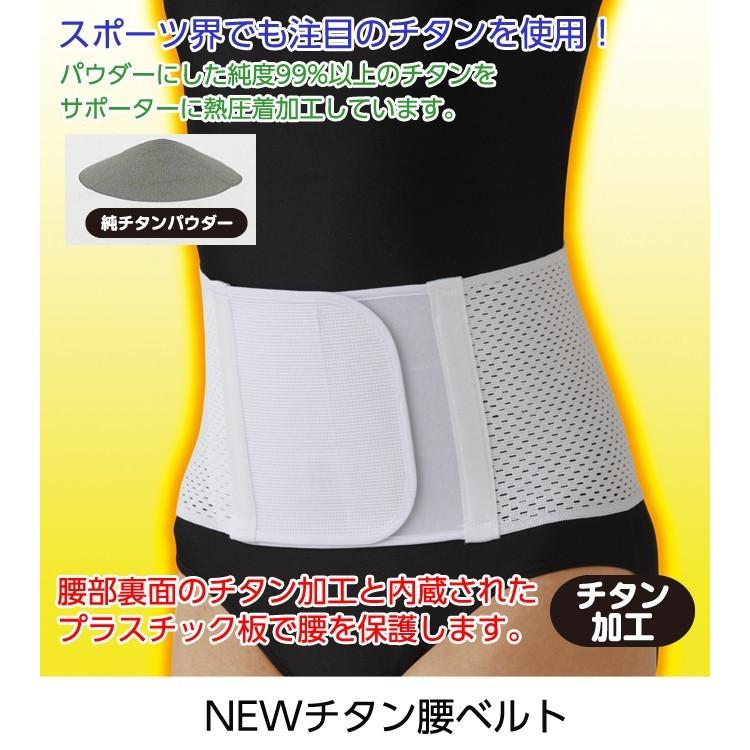 CERVIN（セルヴァン） 腰 腰痛ベルト 骨盤ベルト 腰ベルト 腰痛