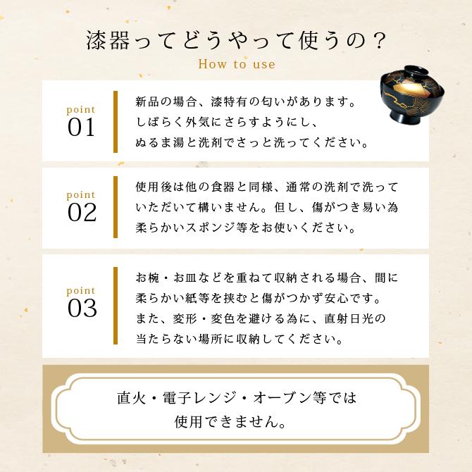 日本酒 冷酒 酒 正月 越前漆器 漆器 高級 日本製 桜蒔絵 宴遊盃 黒内朱