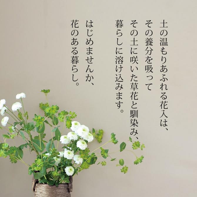 花器 花入 つる付 緑葉 Sk6-3 花瓶 瓶 インテリア 飾り : こだわり