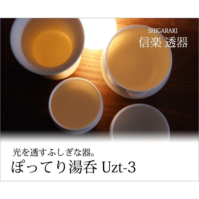 織田信長　湯呑みセット 信楽焼 湯呑 陶器 コップ ゆのみ 湯呑み 茶碗 信楽 透器 ぽって