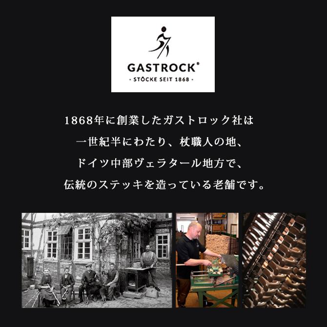 杖 手作り ドイツ製 高級 水牛の角 ブナ ガストロック ELEGANCE