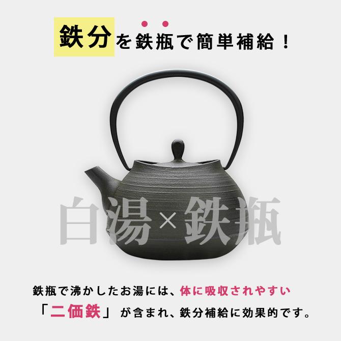 南部鉄器 南部鉄瓶 鉄瓶 IH 対応 直火ok おしゃれ 刷毛目 1.0L さび茶