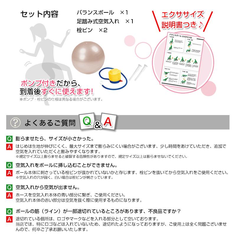 送料無料】【エクササイズガイド付】 バランスボール アンチバースト
