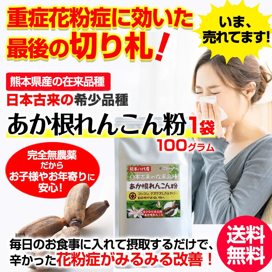 540円 コンビニ受取対応商品 花粉症でお悩みの方へ あか根れんこん粉 完全無農薬 在来品種 花粉症対策 熊本八代産100g 希少 ムチン ドライアイ 咳 痰 喉の痛み