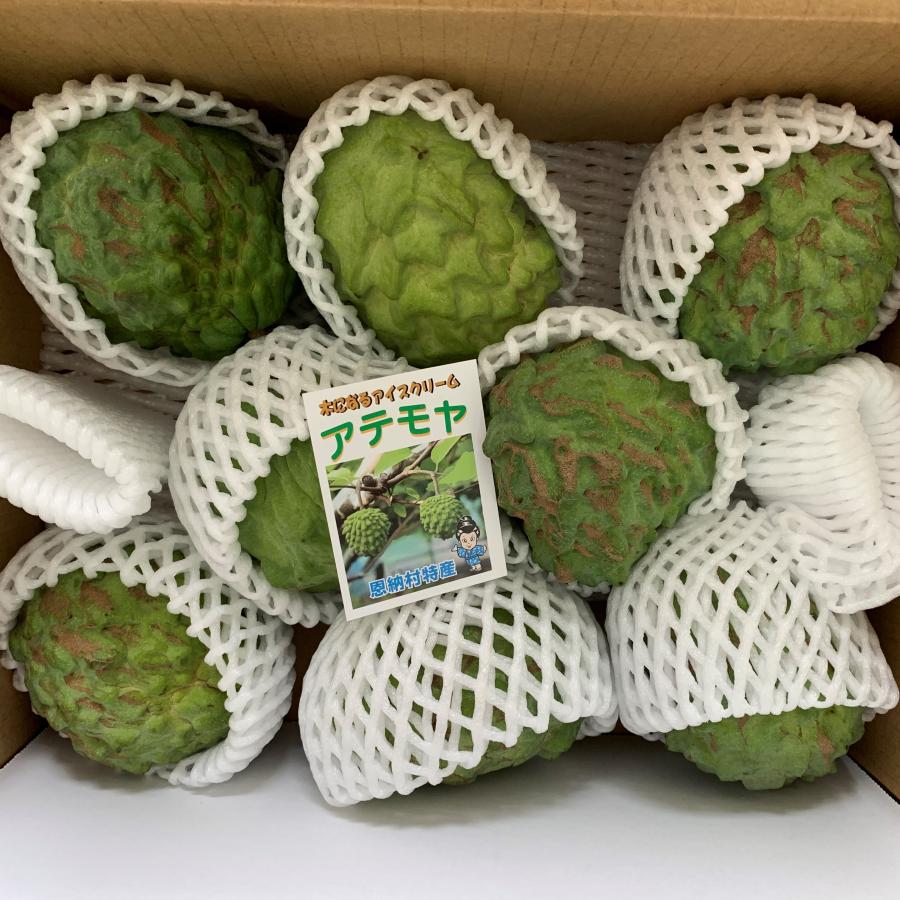 沖縄県産アテモヤ約2kg 5~9玉 無地箱入り 送料無料【寒冷地地方への 