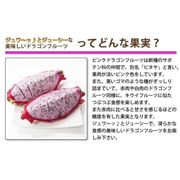沖縄県南城市産ピンクドラゴンフルーツ 約1kg前後 3〜5玉入 送料