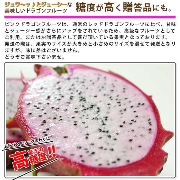 沖縄県南城市産ピンクドラゴンフルーツ 約1kg前後 3〜5玉入 送料