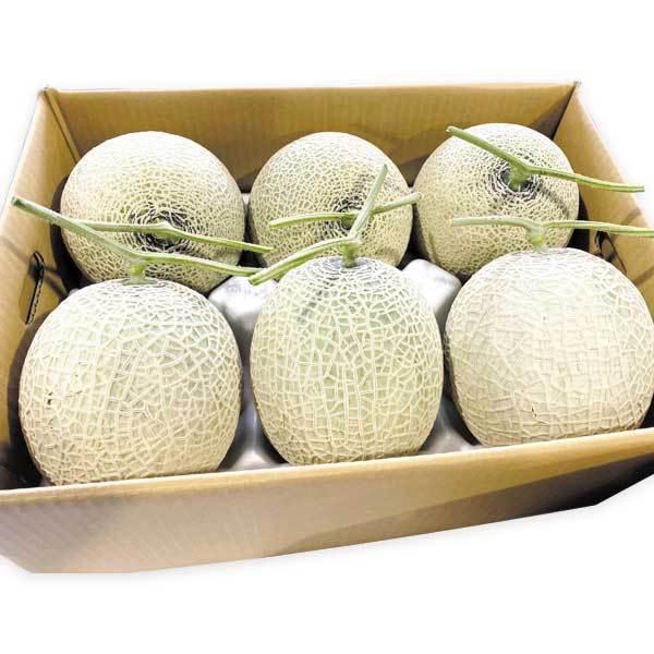 送料無料】宮古島産赤肉メロン L、2L 6玉 （1玉1.2〜1.7kg