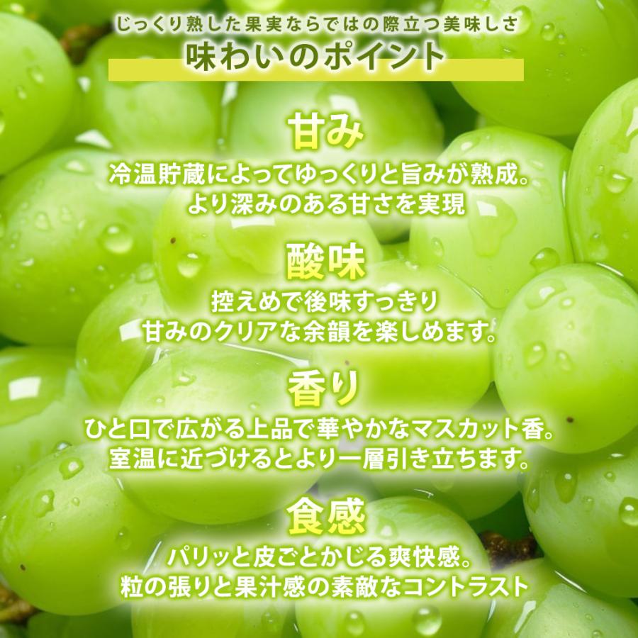 奇跡の越冬ぶどう シャインマスカット 岡山県産 高級 五果苑 1房 700g