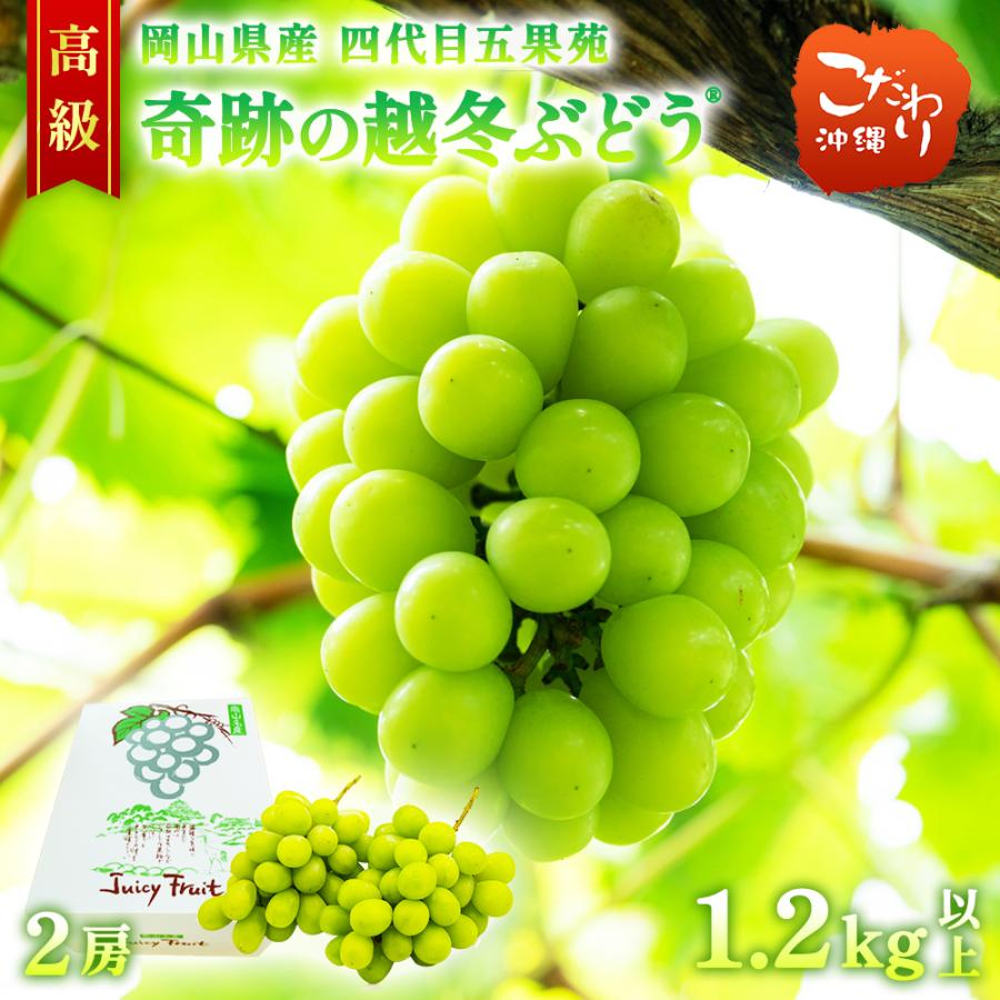 奇跡の越冬ぶどう シャインマスカット 岡山県産 高級 五果苑 2房 1.2kg