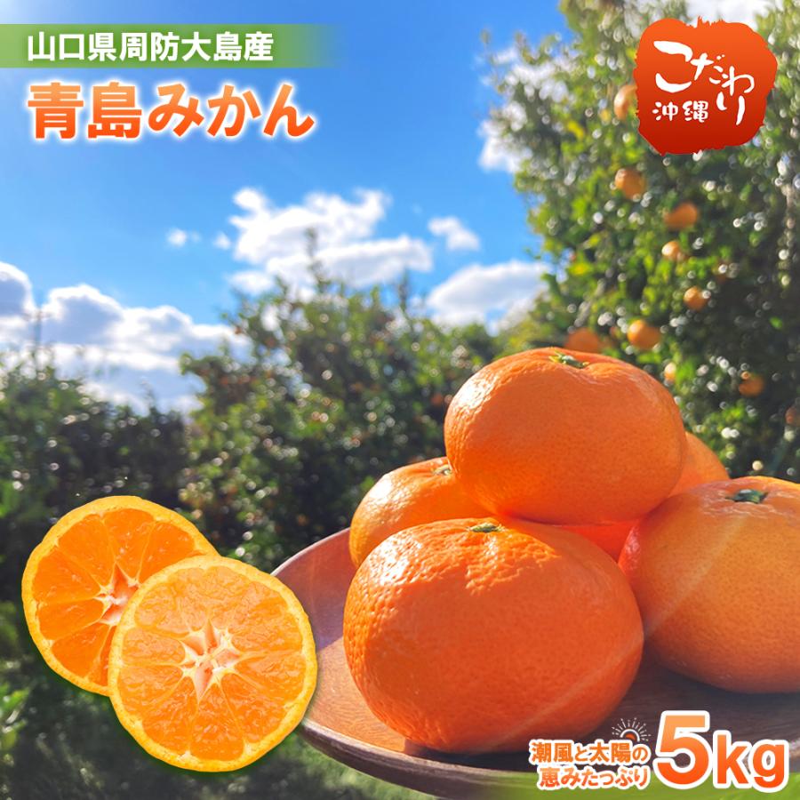 山口県産 周防大島 青島みかん 5kg 10kg 送料無料 温州 みかん 片岡
