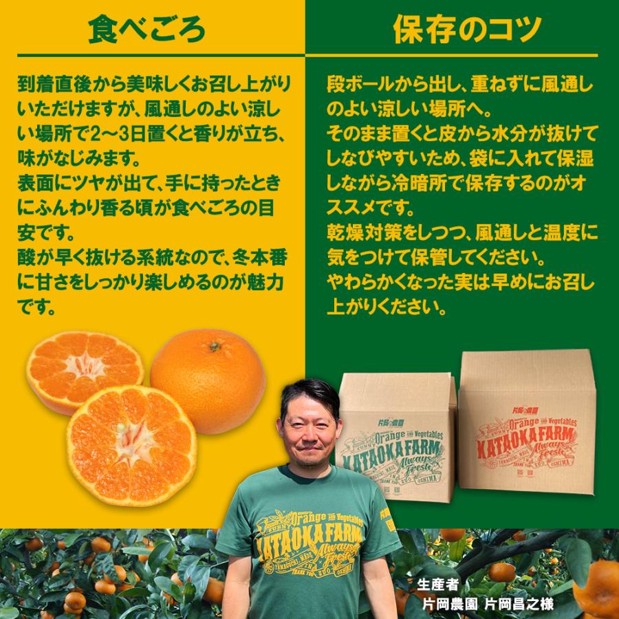 送料無料 山口県周防大島産 片岡農園 太田ポンカン 5kg 10kg ぽんかん