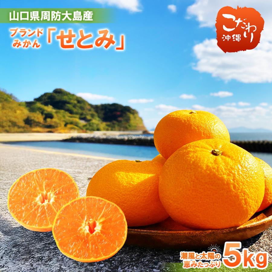 送料無料 山口県周防大島産 片岡農園 せとみ 5kg 10kg みかん 濃厚な甘