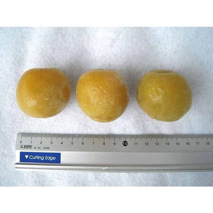 完売御礼】紀州南高梅 冷凍完熟梅 約1kg(大玉2L〜4L) 青梅 産地直送